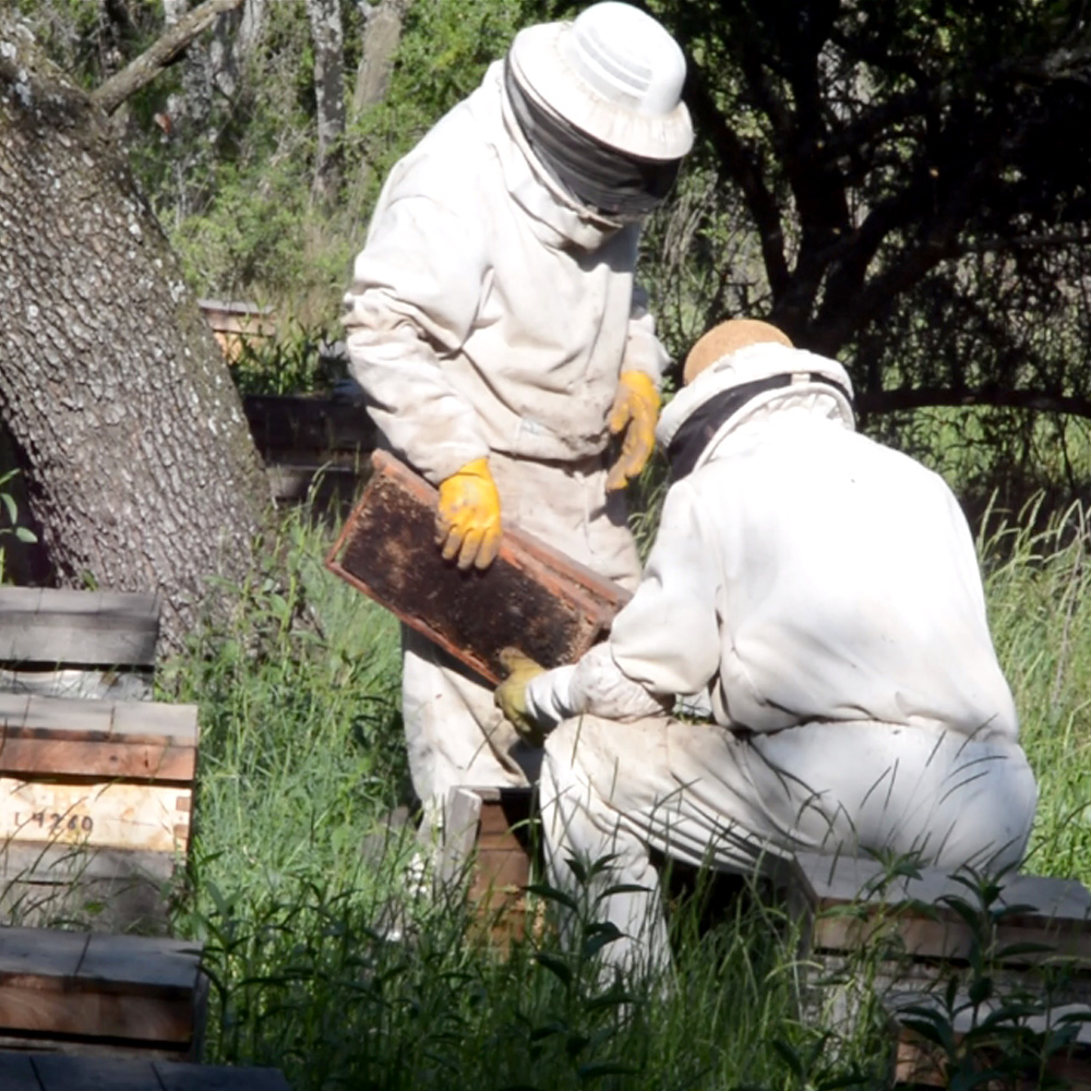 Cooperativa Apícola Patagonia