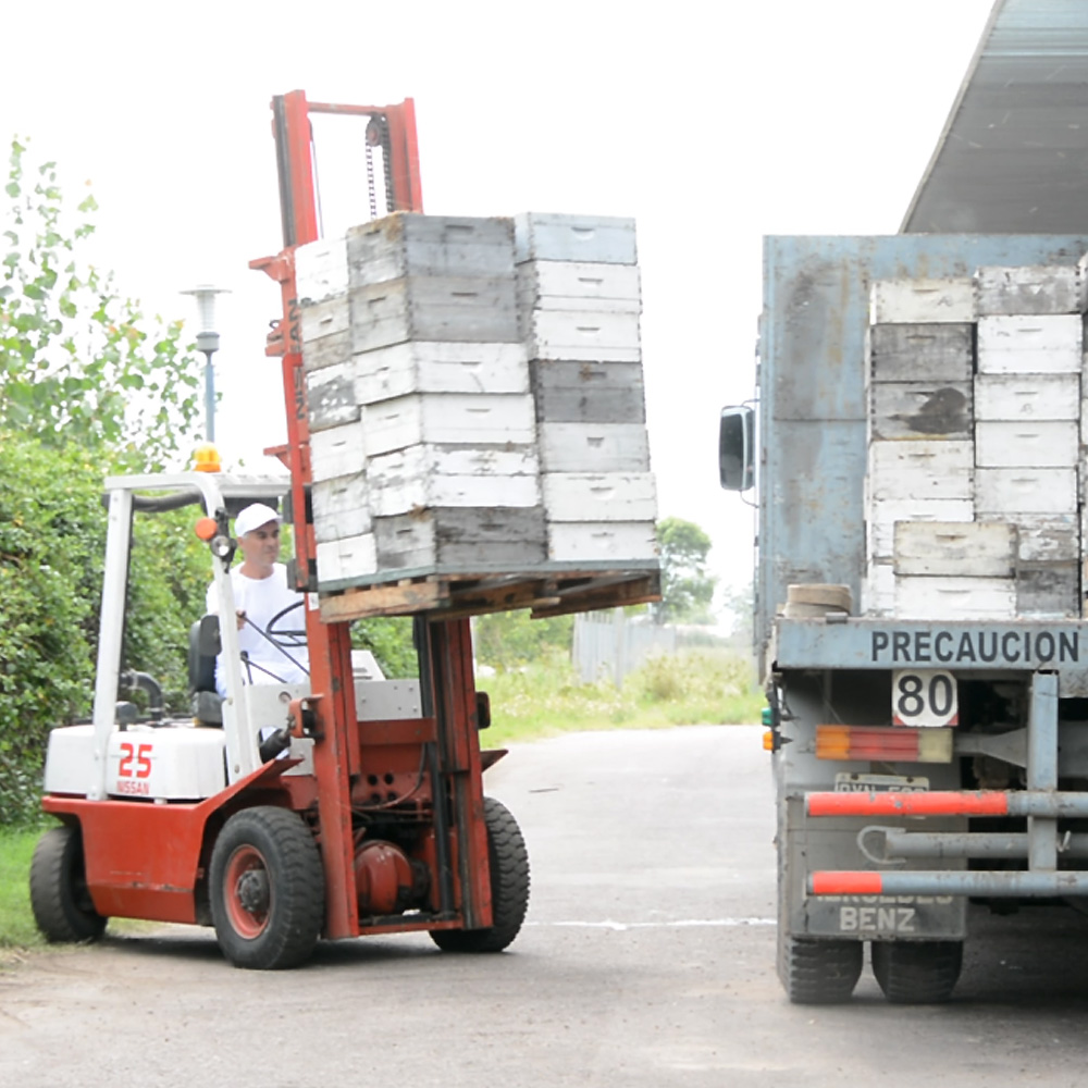 Cooperativa Apícola Patagonia