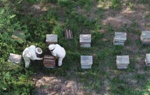 Cooperativa Apícola Patagonia