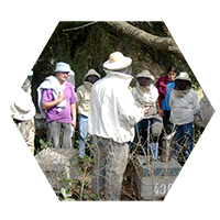 Cooperativa Apícola Patagonia