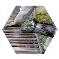 Cooperativa Apícola Patagonia